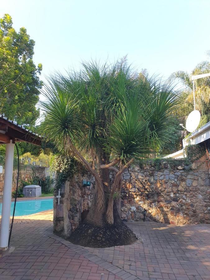 Birchway'S Backpackers Hostel Pretoria Bagian luar foto